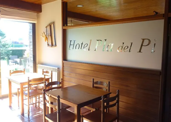 Pla Del Pi Hotel